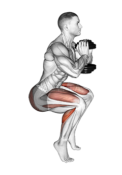 Thumbnail for the video of exercise: Dumbbell Squat Hou Kalf Verhef