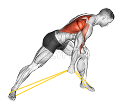 Thumbnail for the video of exercise: Resistance Band One Arm Bent Over Row