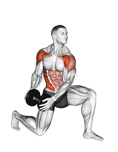 Thumbnail for the video of exercise: Dumbbell Half Kneeling Lift and Chop