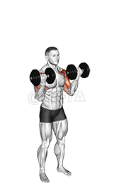 Thumbnail for the video of exercise: Dumbbell Standing Biceps Curl to Shoulder Press