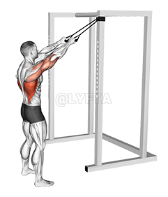 Thumbnail for the video of exercise: Band Standing Straight Arm Pulldown