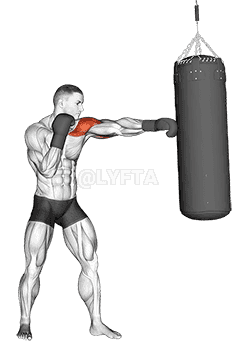 Thumbnail for the video of exercise: Boxing Jab