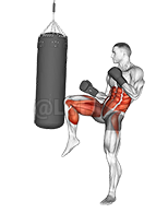 Thumbnail for the video of exercise: Front Groin Kick Kickboxing