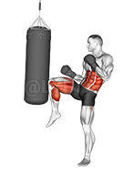 Thumbnail for the video of exercise: Front Snap Kick Kickboxing