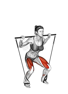 Thumbnail for the video of exercise: Bar Band Squat