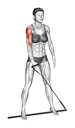 Thumbnail for the video of exercise: Bar Band Standing Single Arm Upright Row