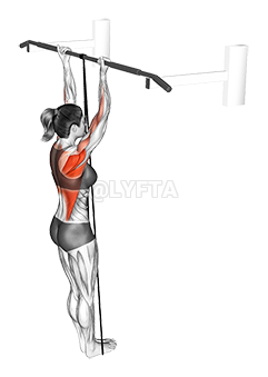 Thumbnail for the video of exercise: Band Assisted Chin-Up