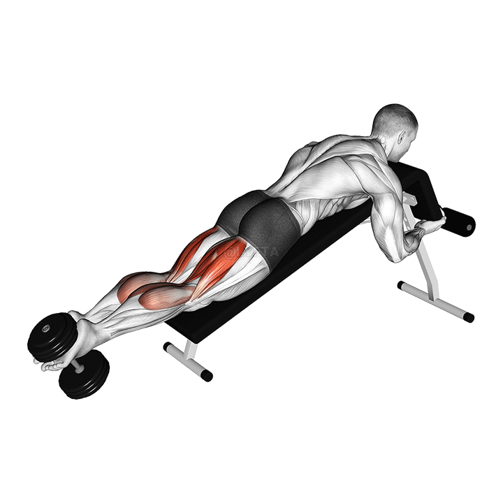 How To Do A SINGLE LEG LYING LEG CURL  Exercise Demonstration Video and  Guide 