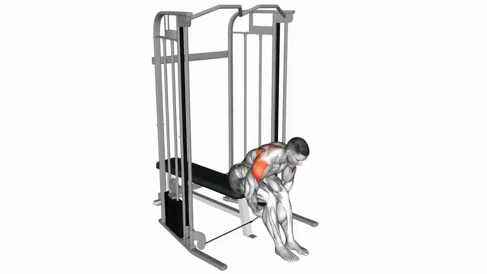 Thumbnail for the video of exercise: Elevazione laterale posteriore seduta