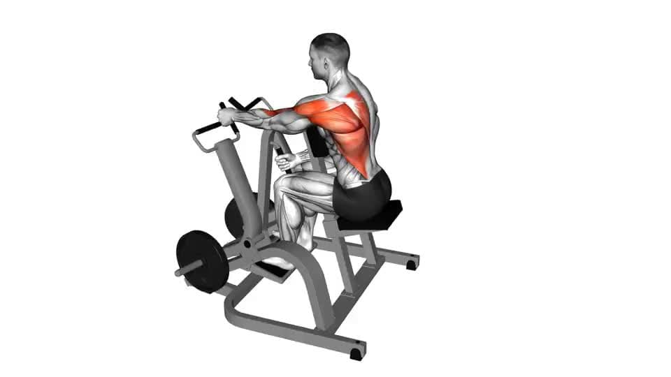 Thumbnail for the video of exercise: Lever Alternating Narrow Grip Seated Row