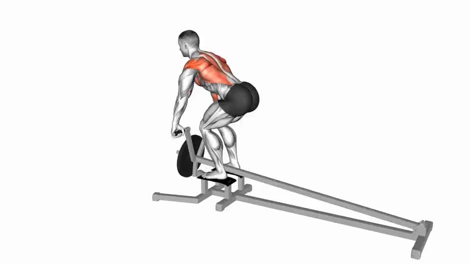 Thumbnail for the video of exercise: Lever T bar Row