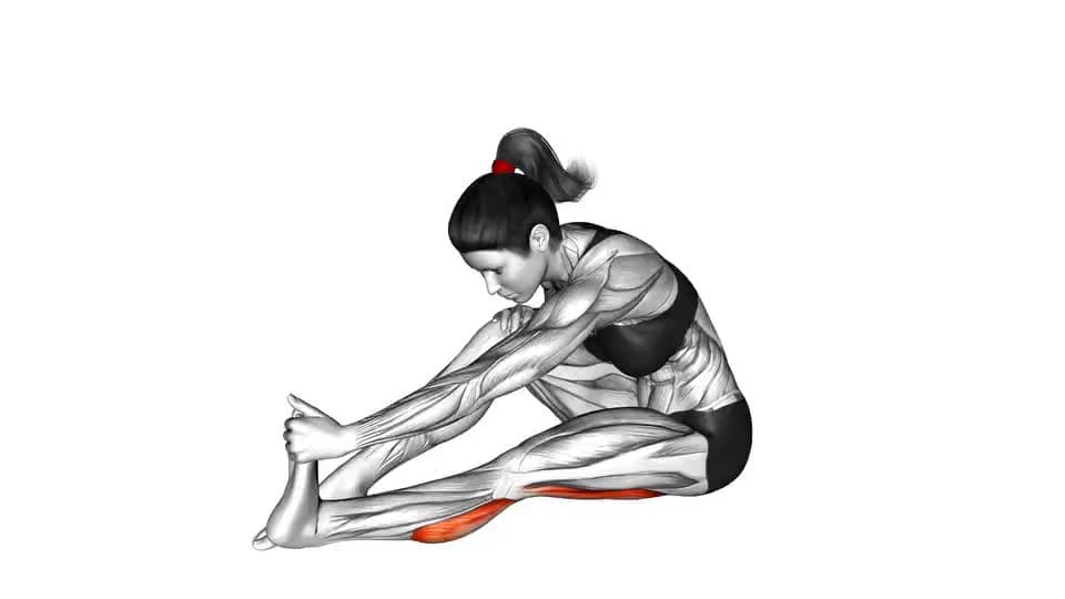 Thumbnail for the video of exercise: Seated Straight Leg Calf Stretch