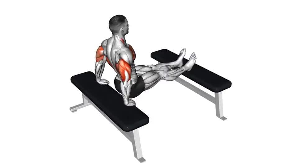 Thumbnail for the video of exercise: Triceps Dip
