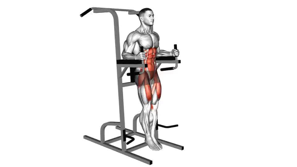 Thumbnail for the video of exercise: Vertical Leg Raise