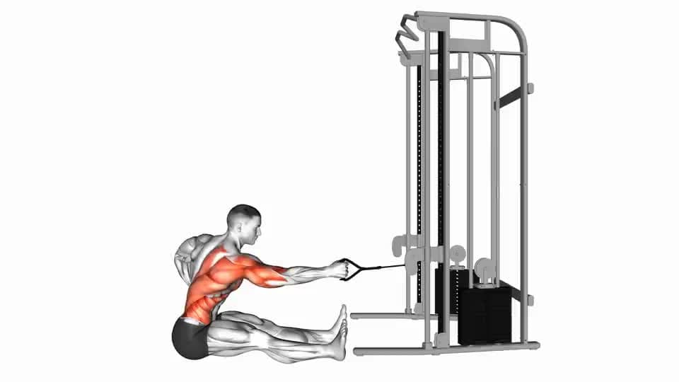 Thumbnail for the video of exercise: Cable one arm twisting seated row