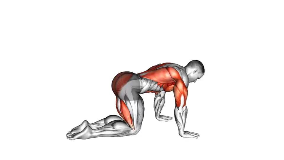 Thumbnail for the video of exercise: Bird Dog