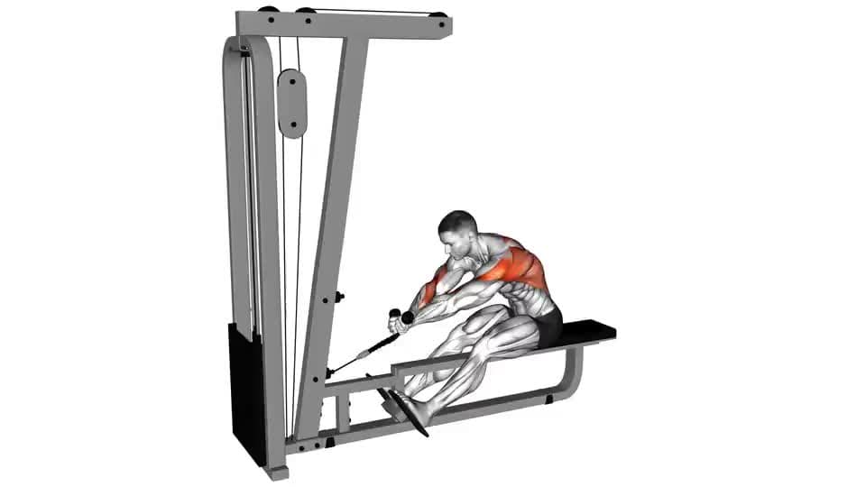Thumbnail for the video of exercise: Cable Rope Crossover Seated Row