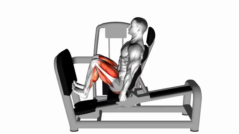 Thumbnail for the video of exercise: Lever Seated Squat Calf Raise on Leg Press Machine