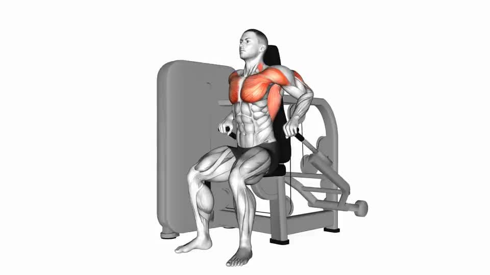 Thumbnail for the video of exercise: Lever Seated Dip