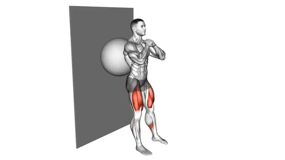 Thumbnail for the video of exercise: Exercise Ball Wall Squat
