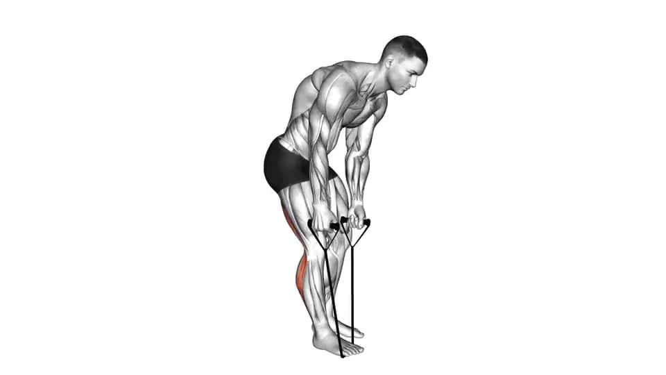Thumbnail for the video of exercise: Standing Hamstring and Calf Stretch with Strap