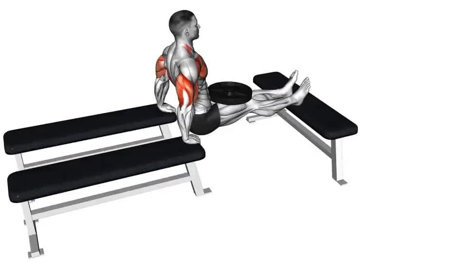 Thumbnail for the video of exercise: Weighted Three Bench Dips