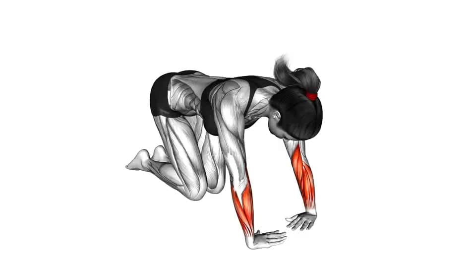 Thumbnail for the video of exercise: Wrist Ulnar Deviator And Flexor Stretch