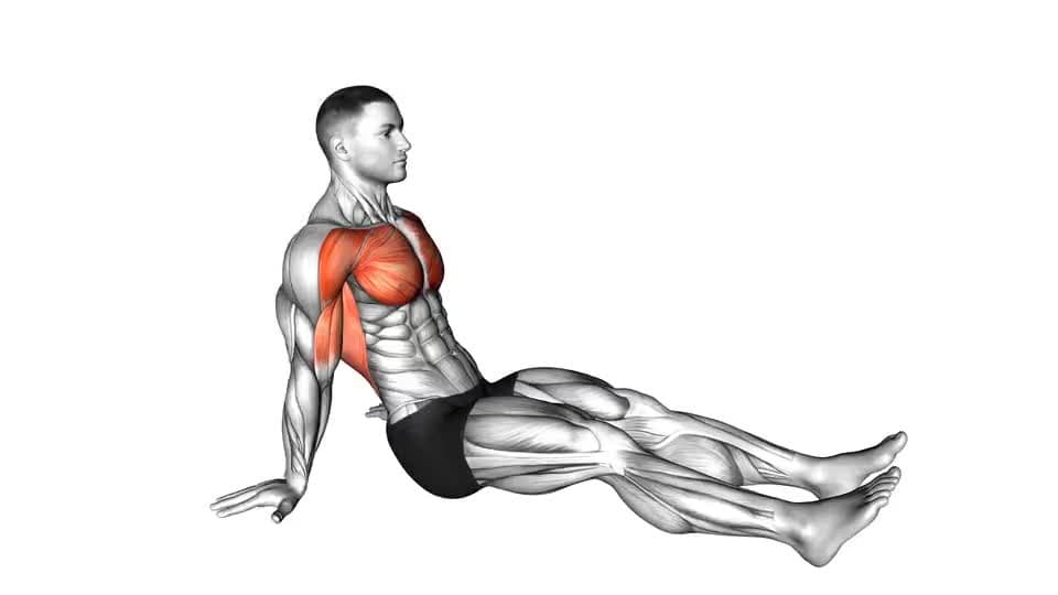 Thumbnail for the video of exercise: Seated Shoulder Flexor Depresor Retractor Stretch