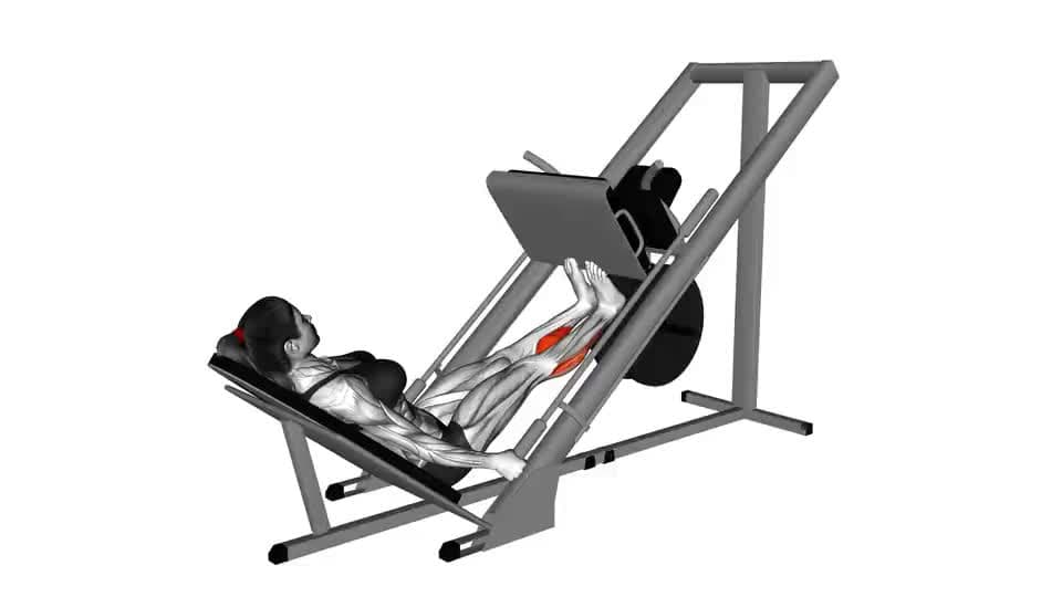 Thumbnail for the video of exercise: Sled Calf Press On Leg Press