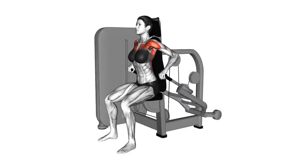 Thumbnail for the video of exercise: Lever Seated Dip
