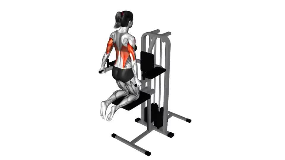 Thumbnail for the video of exercise: Assisted Triceps Dip