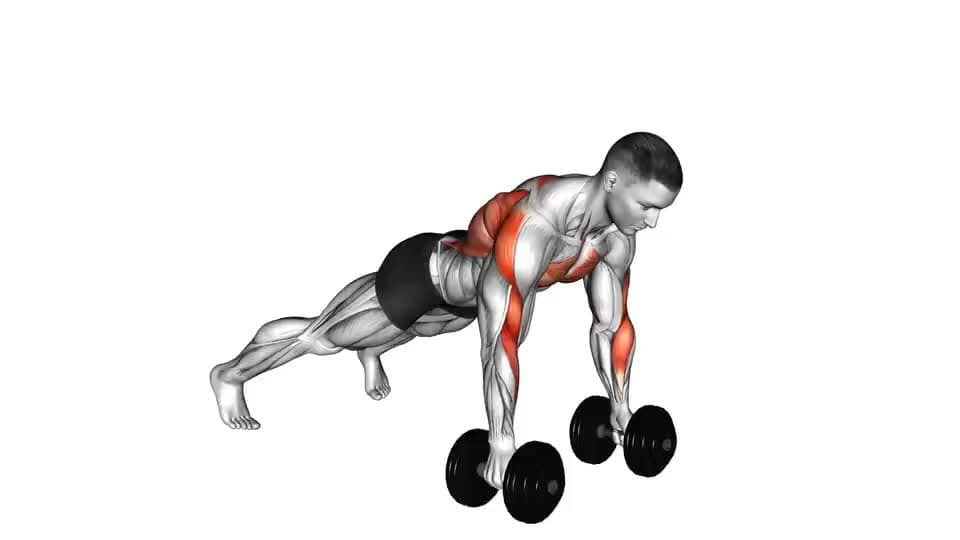 Thumbnail for the video of exercise: Dumbbell Renegade Row