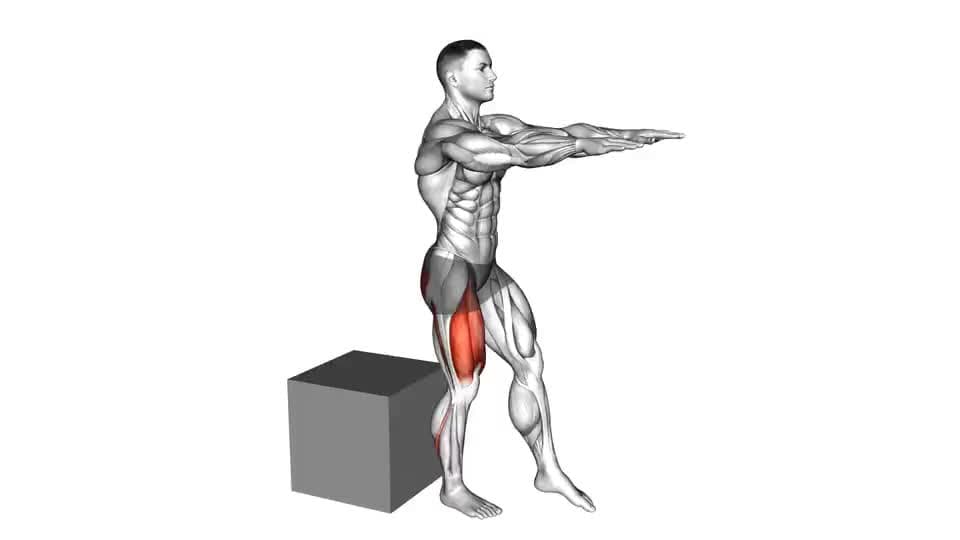 Thumbnail for the video of exercise: Sentadilla con pistola para boxear