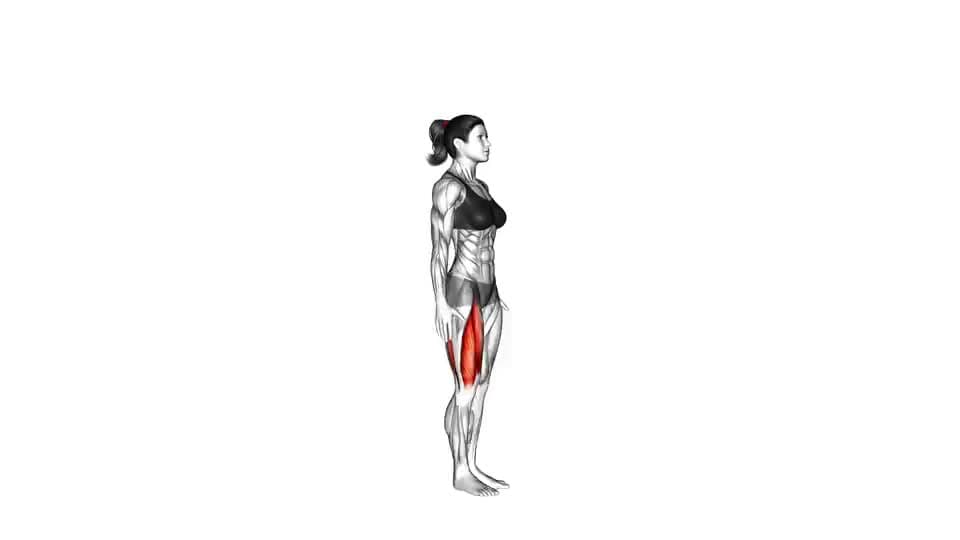 Thumbnail for the video of exercise: Knee Raise