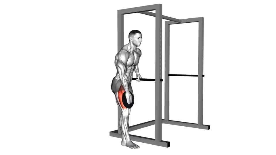 Thumbnail for the video of exercise: Weighted Single Leg Lift