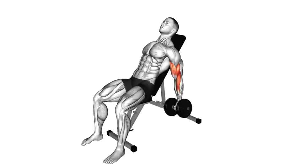 Thumbnail for the video of exercise: Dumbbell Incline Alternate Bicep Curl