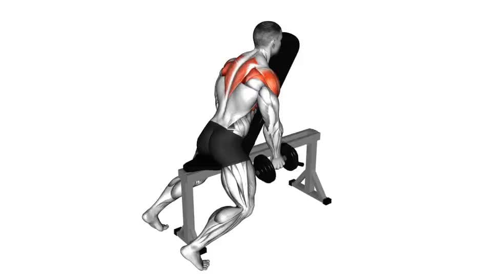 Thumbnail for the video of exercise: Elevaciones laterales con soporte de pecho con mancuernas
