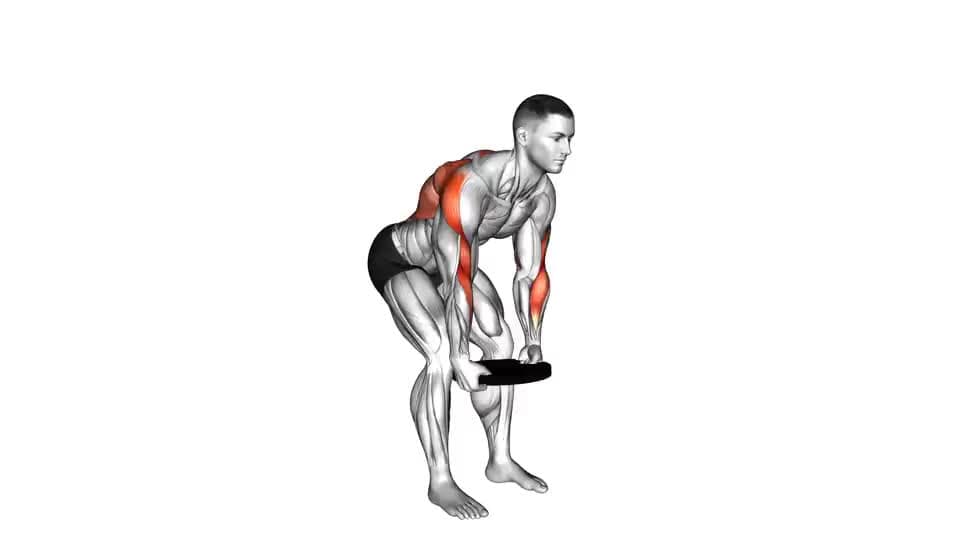 Thumbnail for the video of exercise: Weighted Plate Bent Over Row