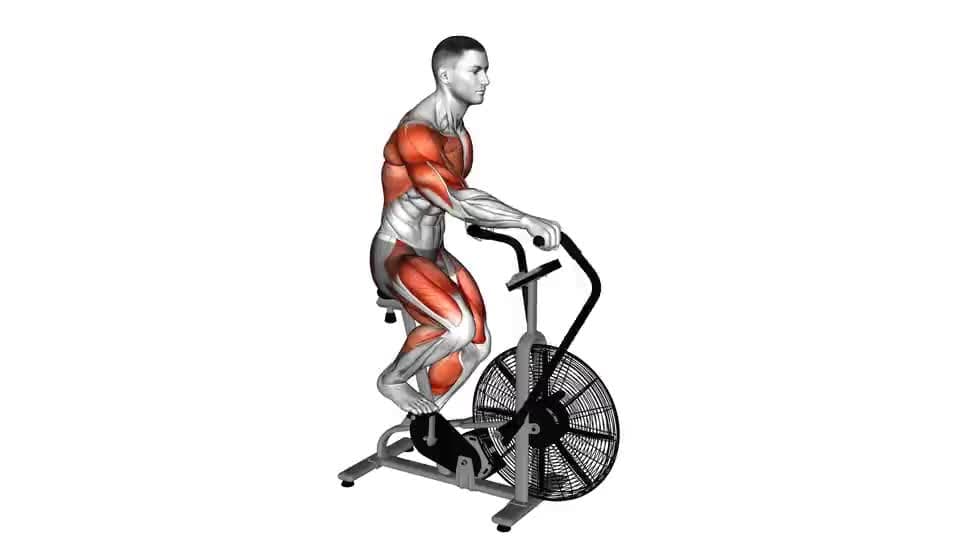 Thumbnail for the video of exercise: Assault Bike Run