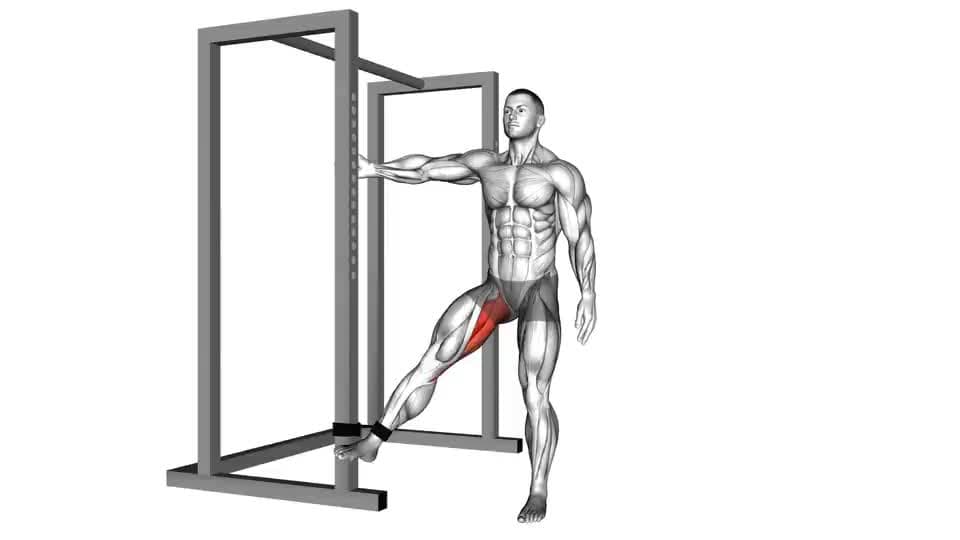 Thumbnail for the video of exercise: Band Hip Adduction