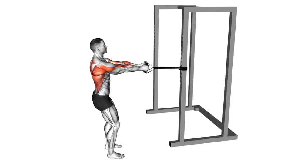 Thumbnail for the video of exercise: Remo con agarre cerrado y banda