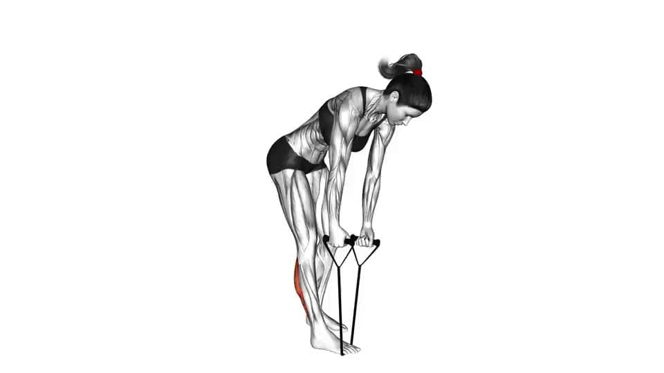 Thumbnail for the video of exercise: Standing Hamstring and Calf Stretch with Starp