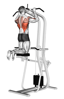 exercise