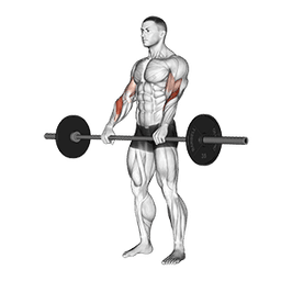 exercise
