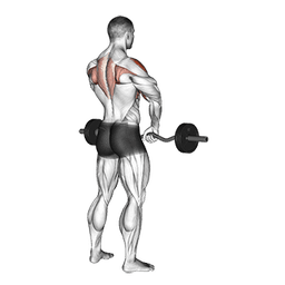 exercise