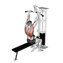 Bar Lateral Pulldown
