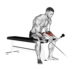 exercise