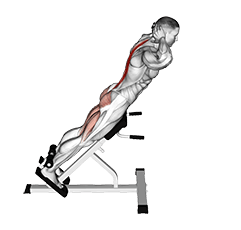 exercise