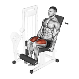 Lever Leg Extension