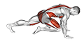 exercise